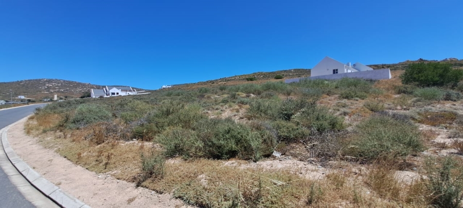 0 Bedroom Property for Sale in Steenbergs Cove Western Cape